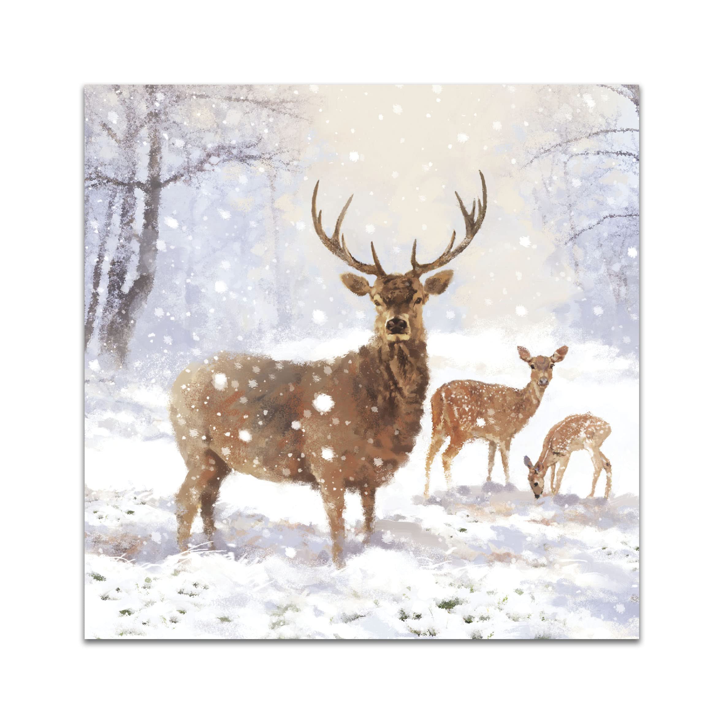 Pack of 8 Majestic Snowy Stag In Aid Of Mind Charity Christmas Cards Xmas Cards 557014, White, 15.5cm x 15.5 cm