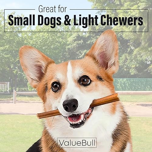Miniatura 9 de ValueBull Bully Sticks para perros, medianos de 6 pulgadas, paquete a granel de 100 unidades, golosinas naturales para perros, 100% pizzas de carne