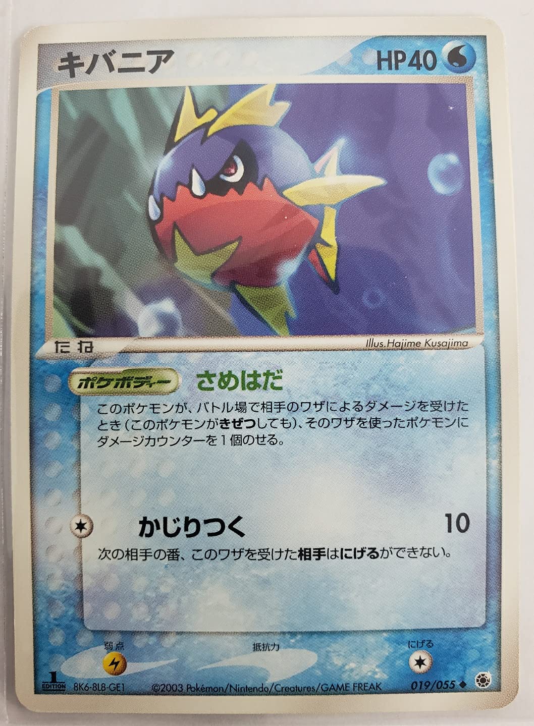 Amazon.co.jp: ポケモンカード キバニア 019/055 : ホビー