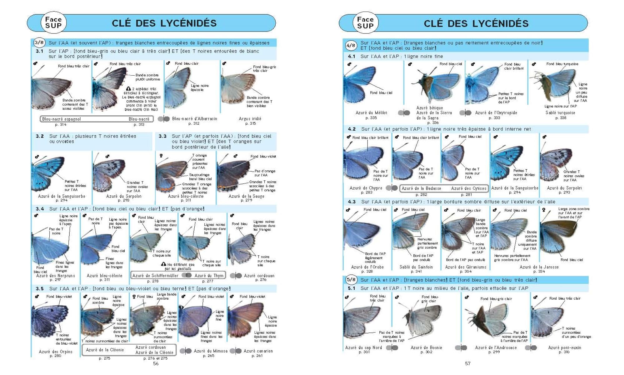Papillons de jour d'Europe occidentale: Identifier tous les Papilionoidea et leurs chenilles