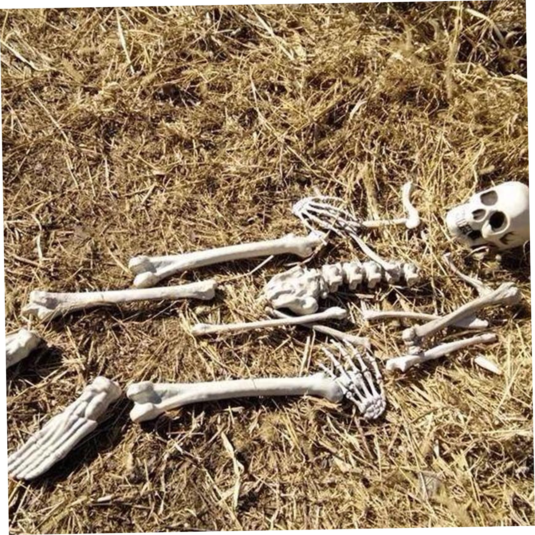 Hintyne Bag of Bones 19Pcs/Set Bag of Bones, Scary and Skull, Halloween Skeleton for Halloween Graveyard Scene Haunted Houses Outdoor Indoor