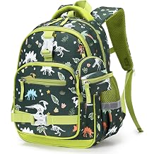 Luminous Kids Backpack for Boys 4-8