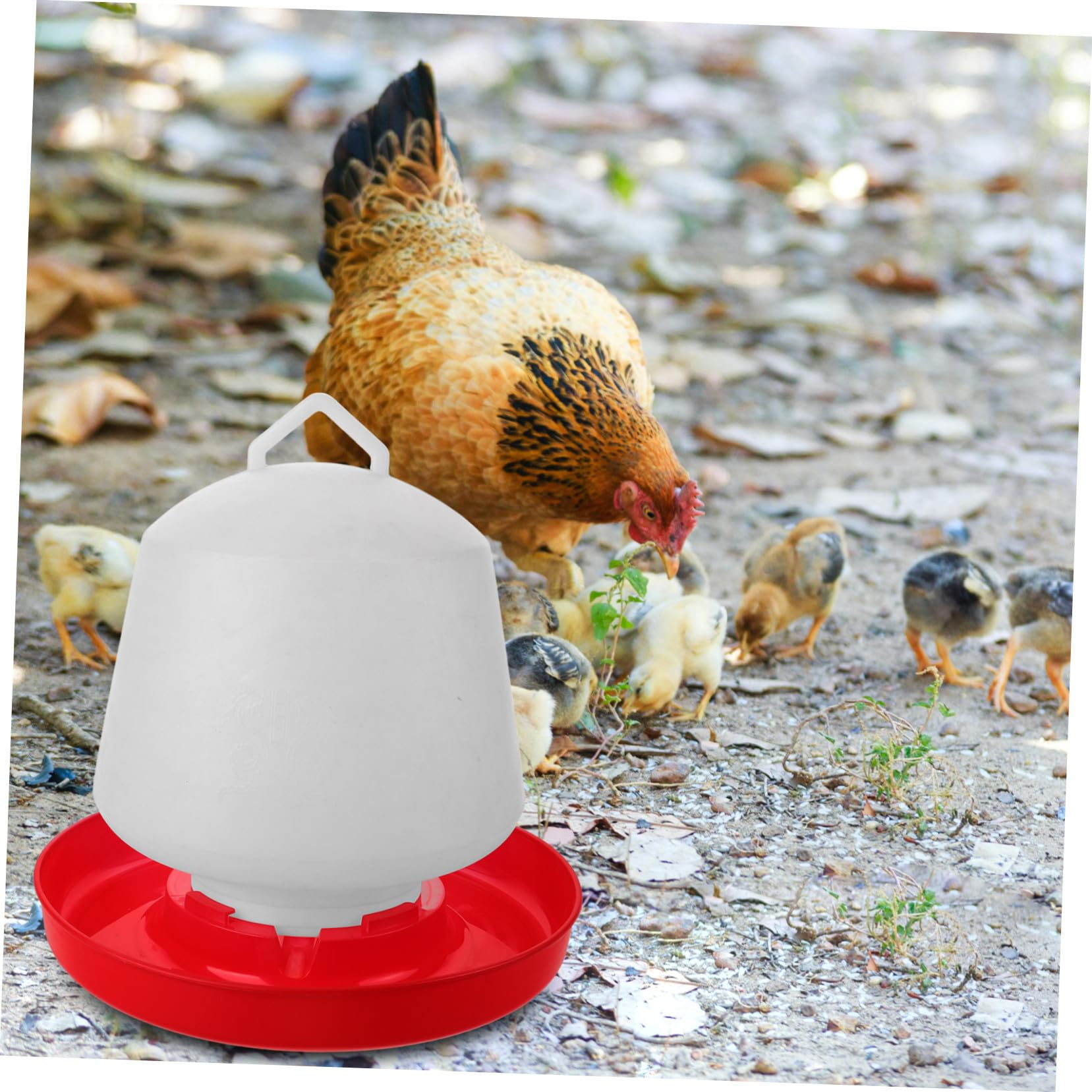 Abaodam Mangiatoia Per Pollame in Plastica Resistente Per Gabbie Di Polli e Volatili Da Cortile, Contenitore Stabile e Facile Da Pulire Adatto a Piccioni e Polli Per Uso Esterno