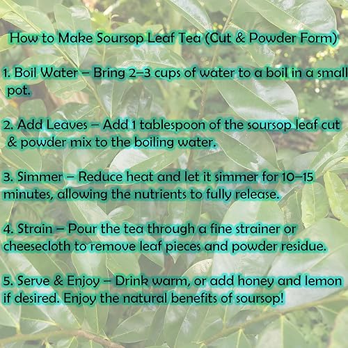 Miniatura 4 de Hojas de guanábana secas Hojas de graviola Corte de té y mezcla en polvo Guanabana Deja más de 135 hojas de guanábana