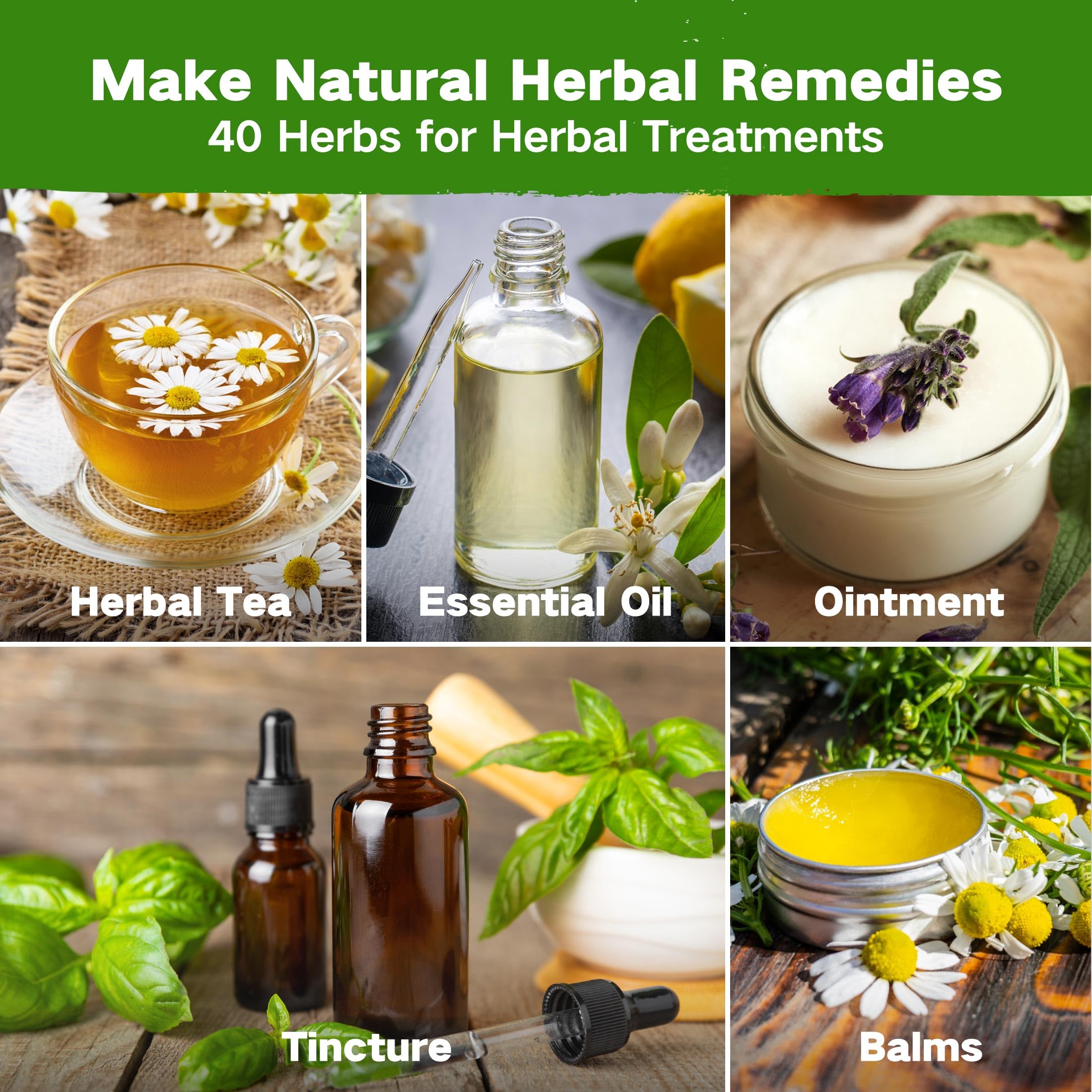 Ancestral Apothecary Herb Seeds - Grow Your Own! -3