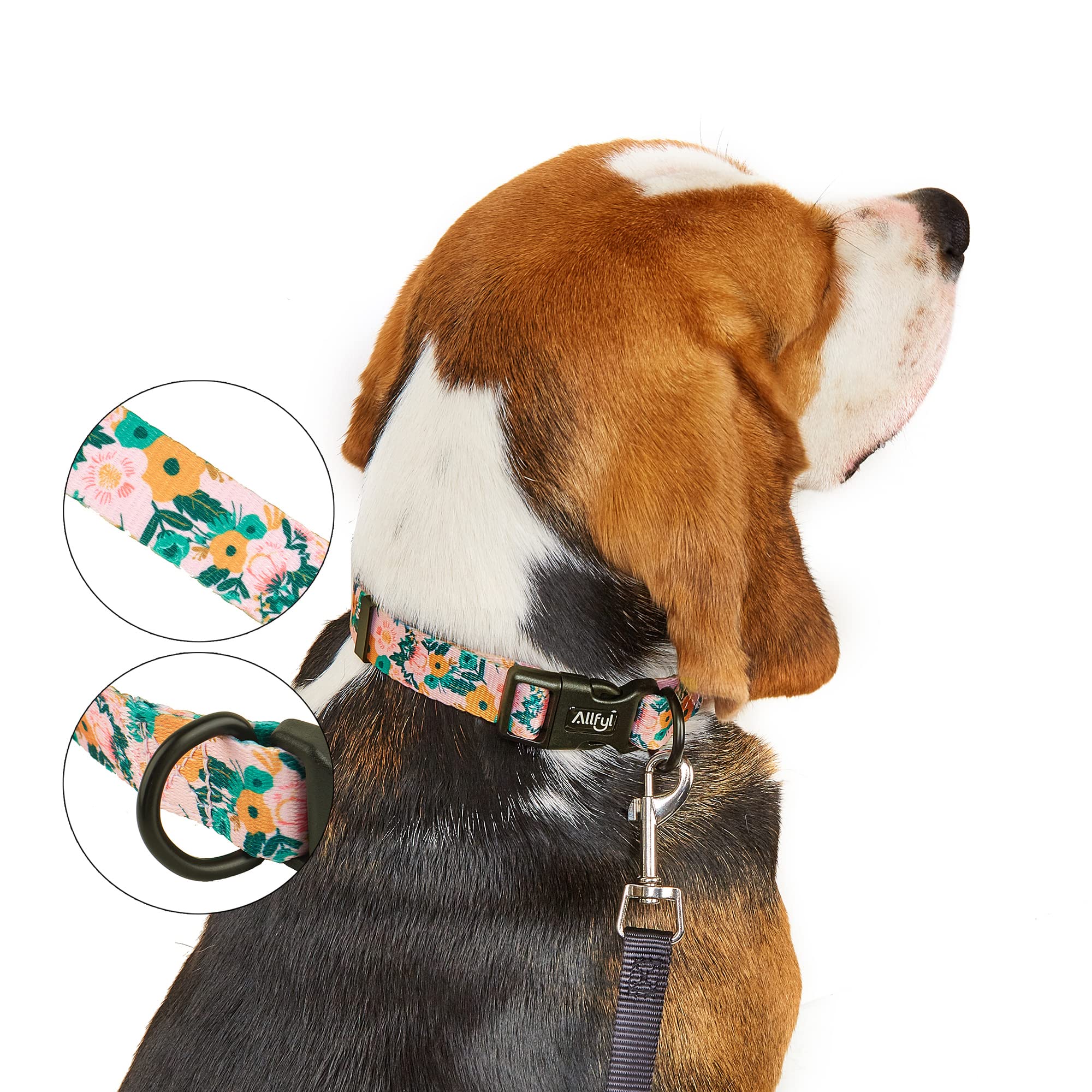 Frühlings-Hundehalsband Mit Blumen-Schleife – 2 Stück, Verstellbar, Für Kleine/mittelgroße Hündinnen