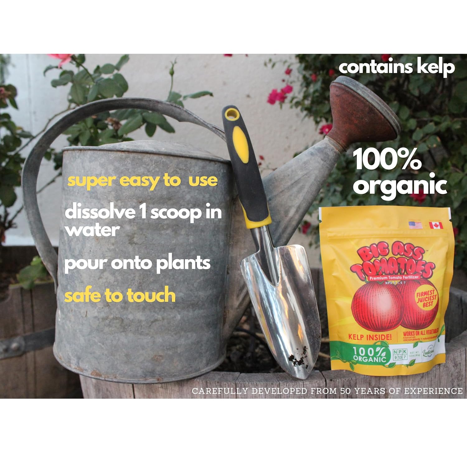 Big A Tomato Premium Organic Fertilizer with Kelp 13.5oz Indoor/Outdoor Plant Fertilizer