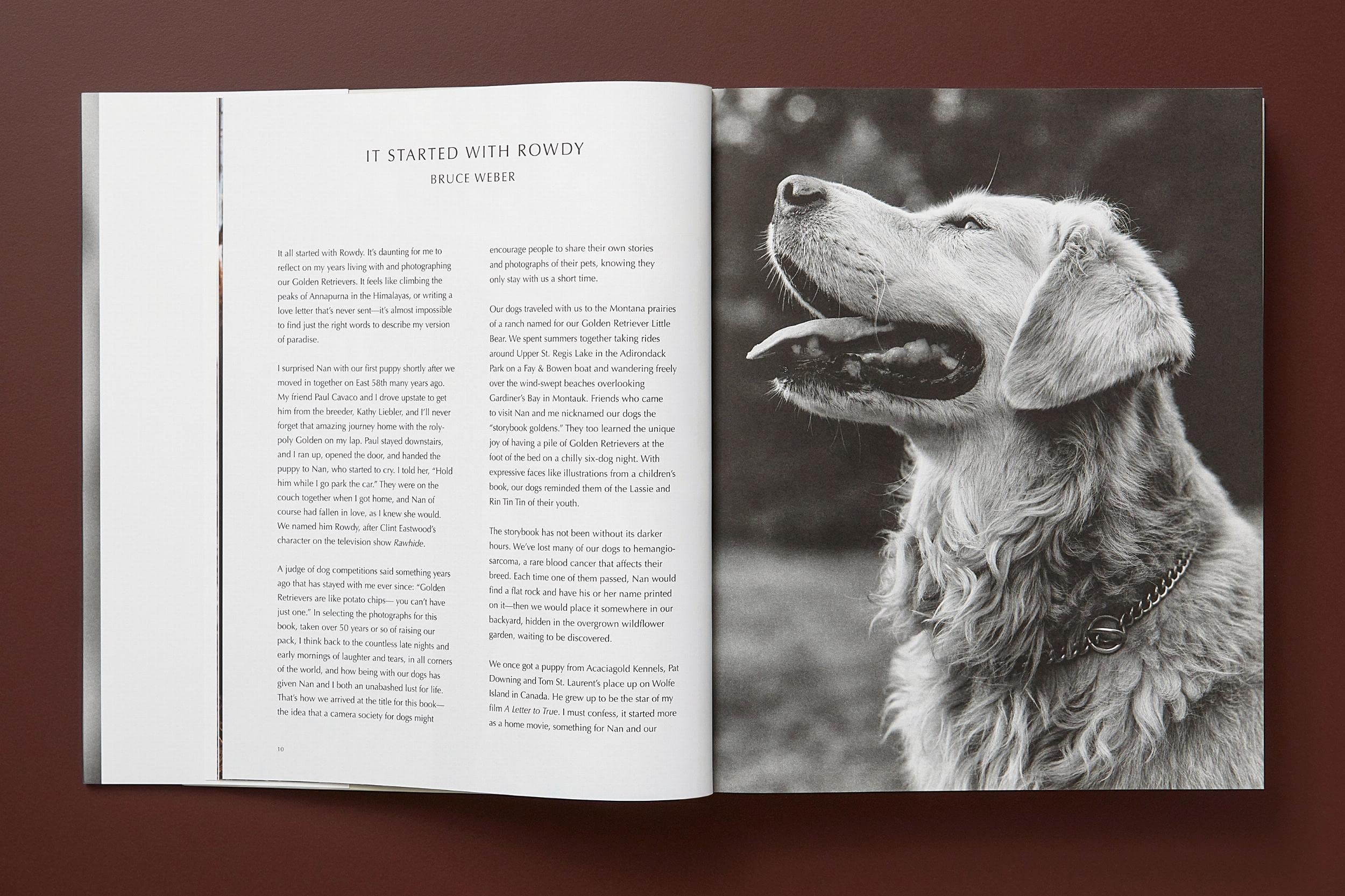 Bruce Weber: The Golden Retriever Photographic Society