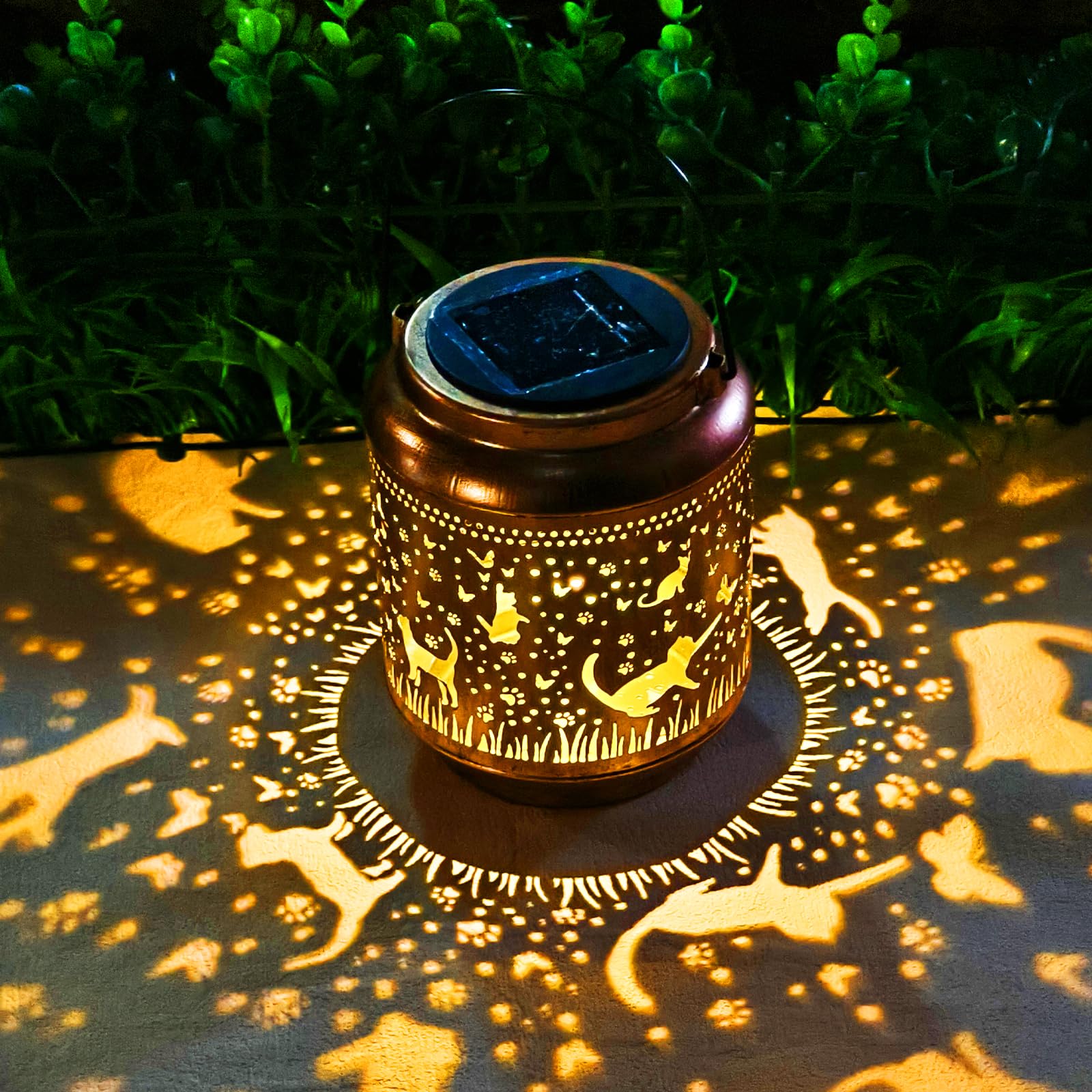 product_img5