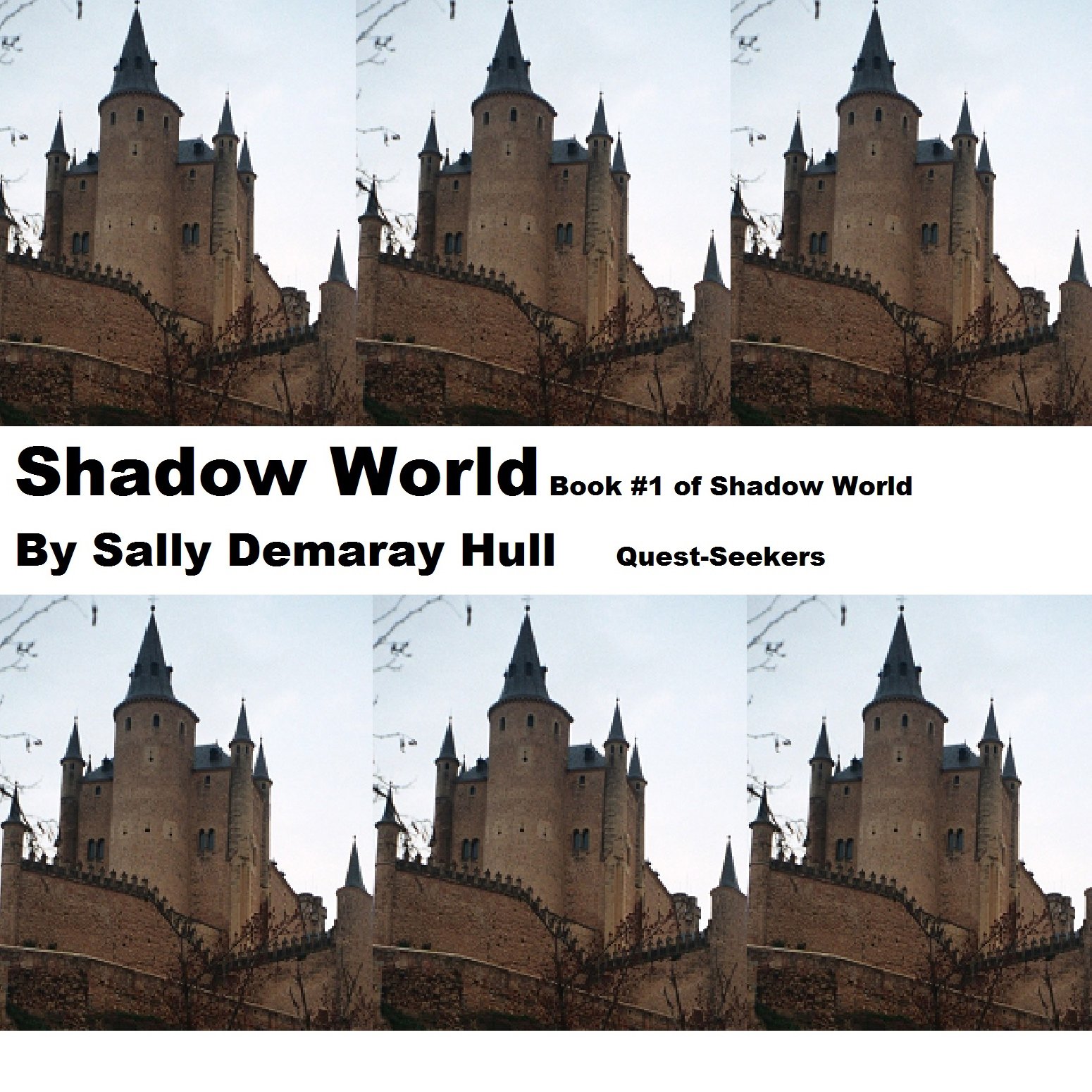 Cover art for Shadow World