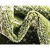 Product Photo 7