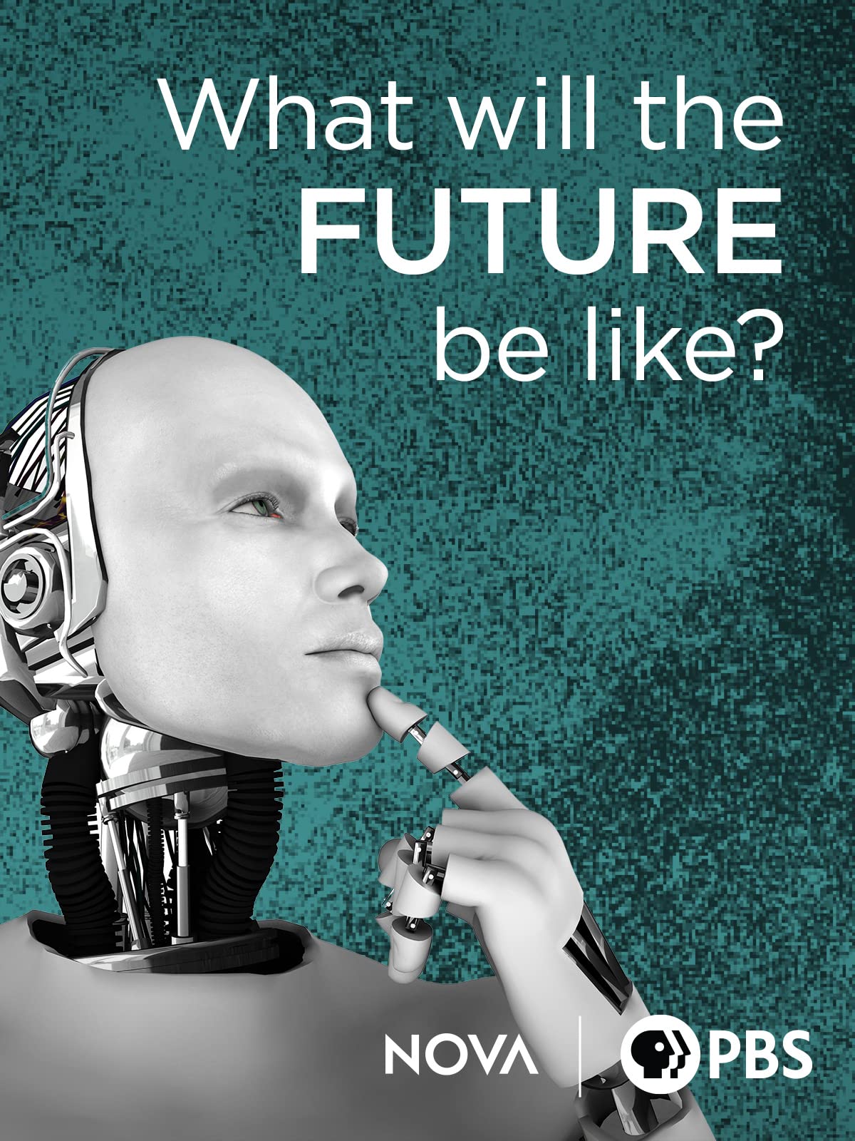 Watch What Will the Future Be Like? Prime Video