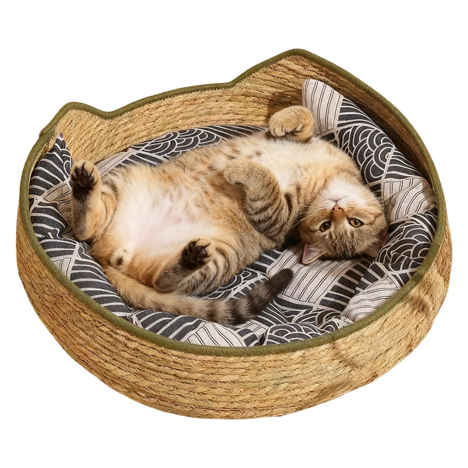 Maison de chat intérieure et nomade : panier tressé pour voyages et canapé