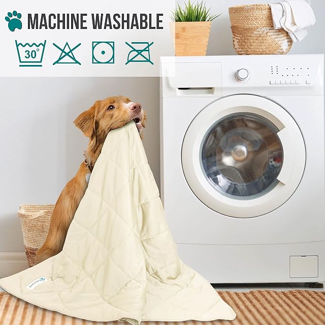 Foto 5 de 8 de PetAmi Manta refrescante Perros, Manta Ligera y esponjosa para Mascotas, Funda de Cama para Perros, Gatos