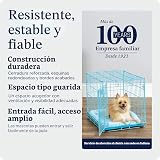 Ver la foto 6