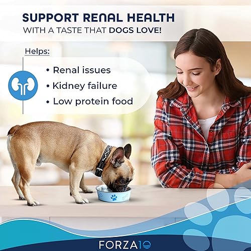 Miniatura 2 de Forza10 Actiwet - Alimento húmedo para perros para riñones, alimento húmedo para perros de 3.5 onzas, sabor a cordero para el cuidado del riñón para