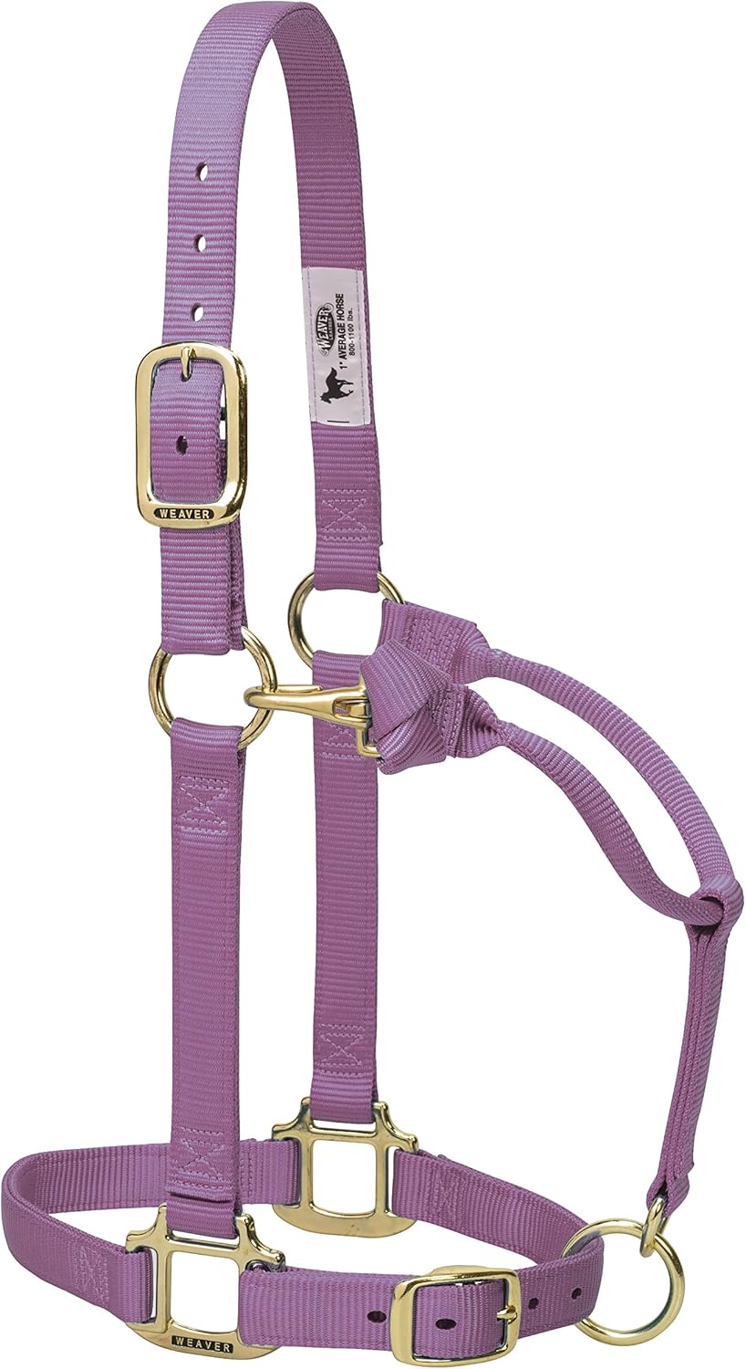 Weaver Leather Original Adjustable Nylon Horse Halter Sports & Outdoors Tack kmotors.co.th