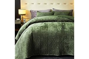 Powdion Luxurious Velvet Comforter Set: Unwind in Serene Comfort