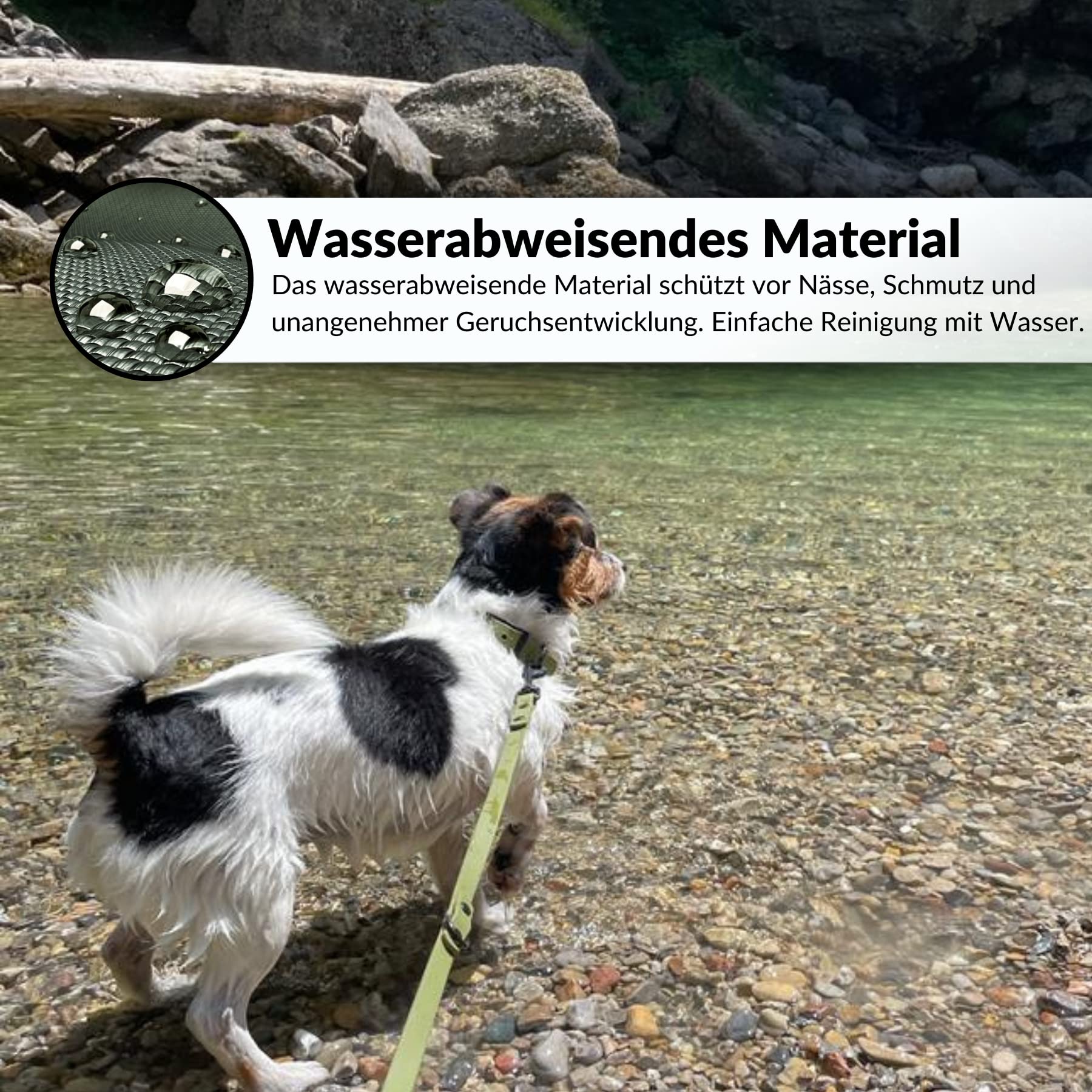 Verstellbares Hundehalsband Für Mittelgroße Hunde Bis 27 Kg – Mit Süßer Schmetterlingsschleife, Weicher Baumwolle & Sicherheitsschnalle