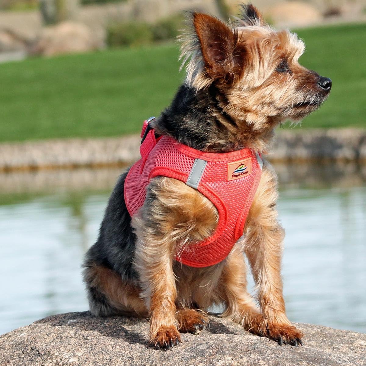 Doggie Design No Choke Dog Harness - Simple Step-in and Go Dog Vest for Small, Medium, and Large Breeds - Breathable Mesh Polyester Pet Harness - Coral - S