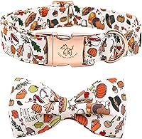 Vista 44 de Elegant little tail - Collar de otoño para mascotas con corbatín, lindo collar de Halloween con estampado de flores y calabaza para cachorros