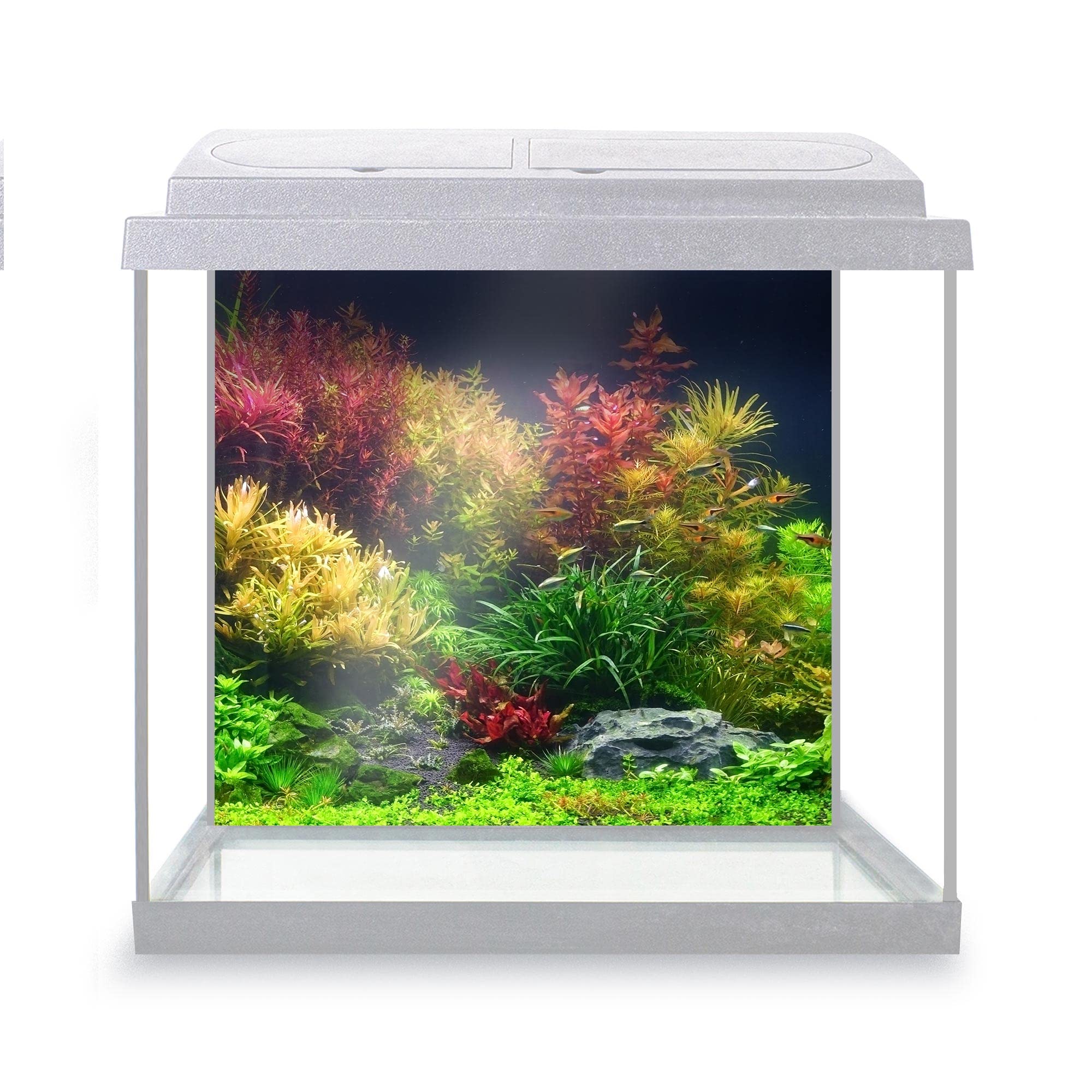 DV DESIGN Aquarium Fish Tank Background 52x47 cm - Colorful Aquatic Plants Tank Marine Landscape Underwater World Static Cling Vinyl Vivarium Terrarium External Application #500032 โ image 1