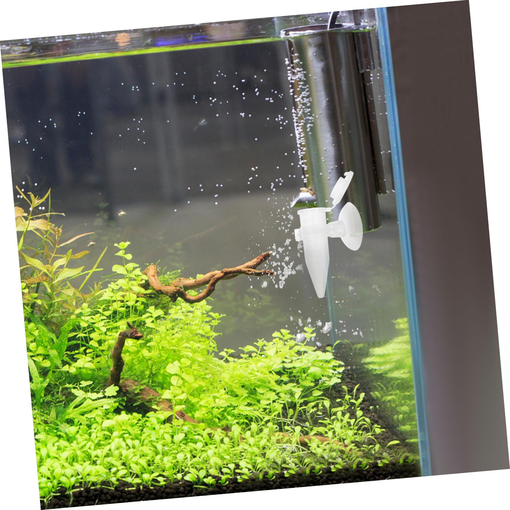 DOITOOL 15piezas Alimentador Automático De Camarones con Ventosa para Acuarios Dispensador De Comida Transparente para Peces y Camarones
