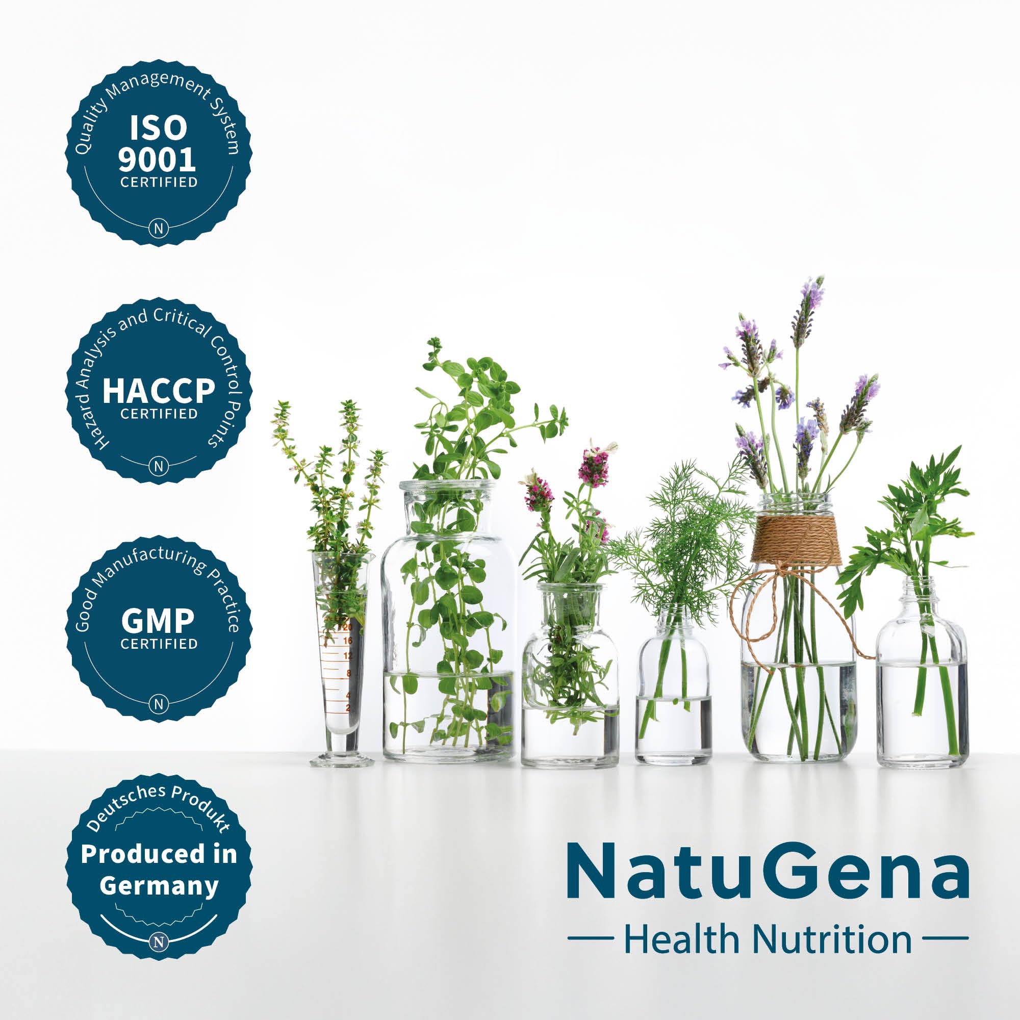 NatuGena NattoKinase, 100 mg (20.000 FU/g) Tagesdosis, trägt zu einer Kollagenbildung für eine normale Funktion der Blutgefäße bei,120 Kapseln/60 Tage