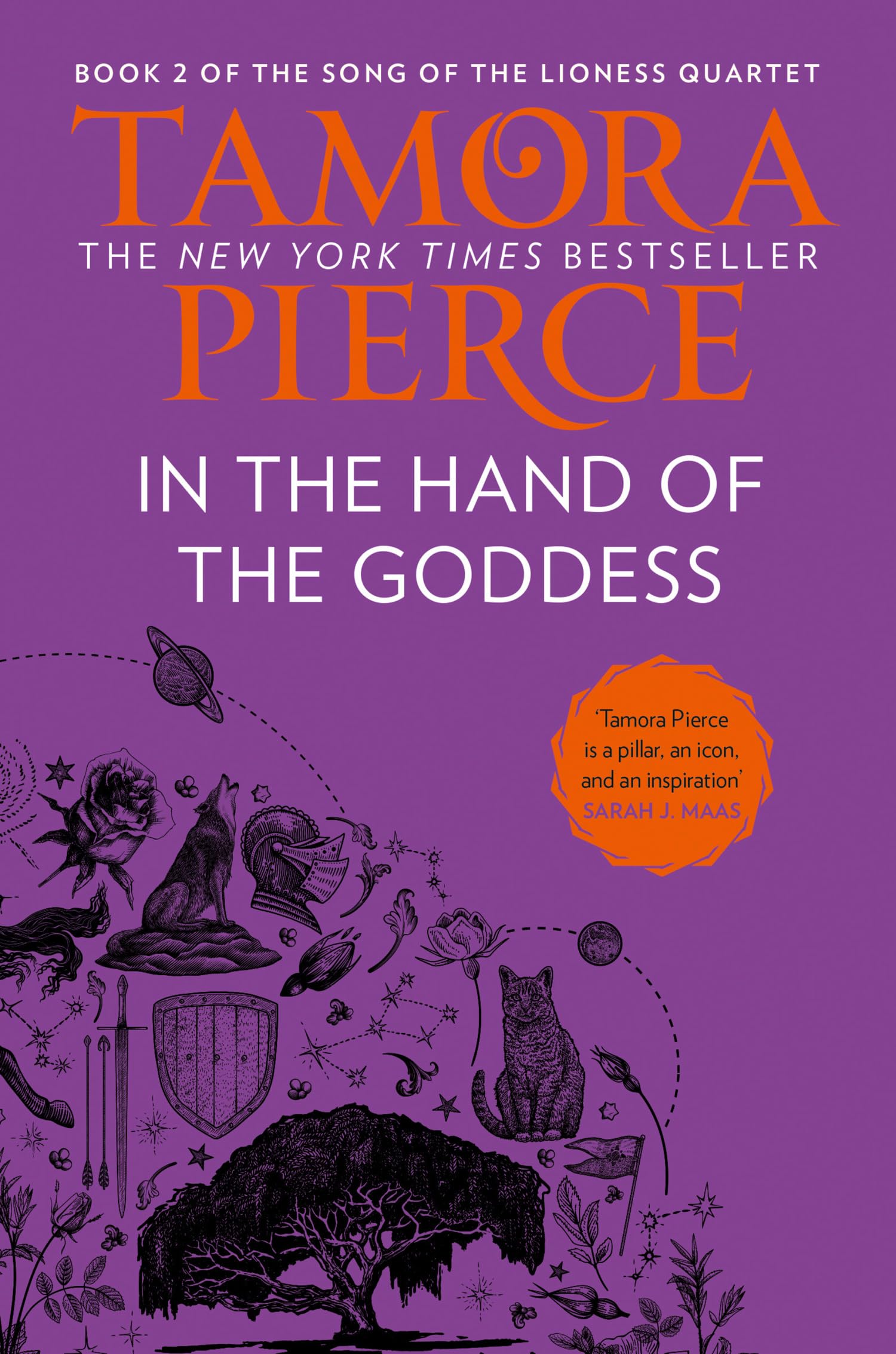 In The Hand of the Goddess: Book 2 (The Song of the Lioness)
