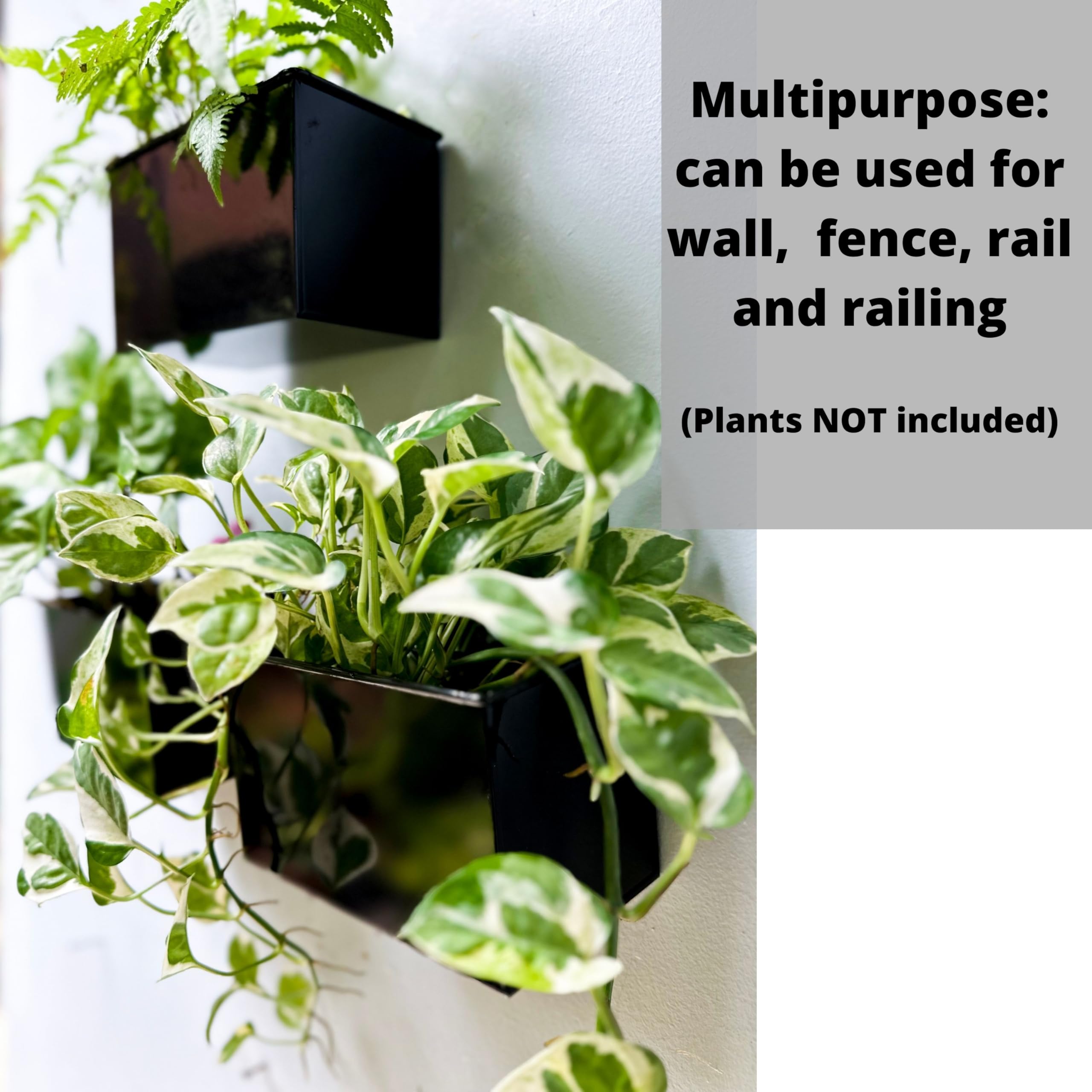 LáLáGreen - Macetero de Pared – Paquete de 3 macetas de Montaje en Pared de 6 Pulgadas para suculentas, Color Negro, Maceta Rectangular de Metal Colgante, Cajas de Ventana largas, Soportes para