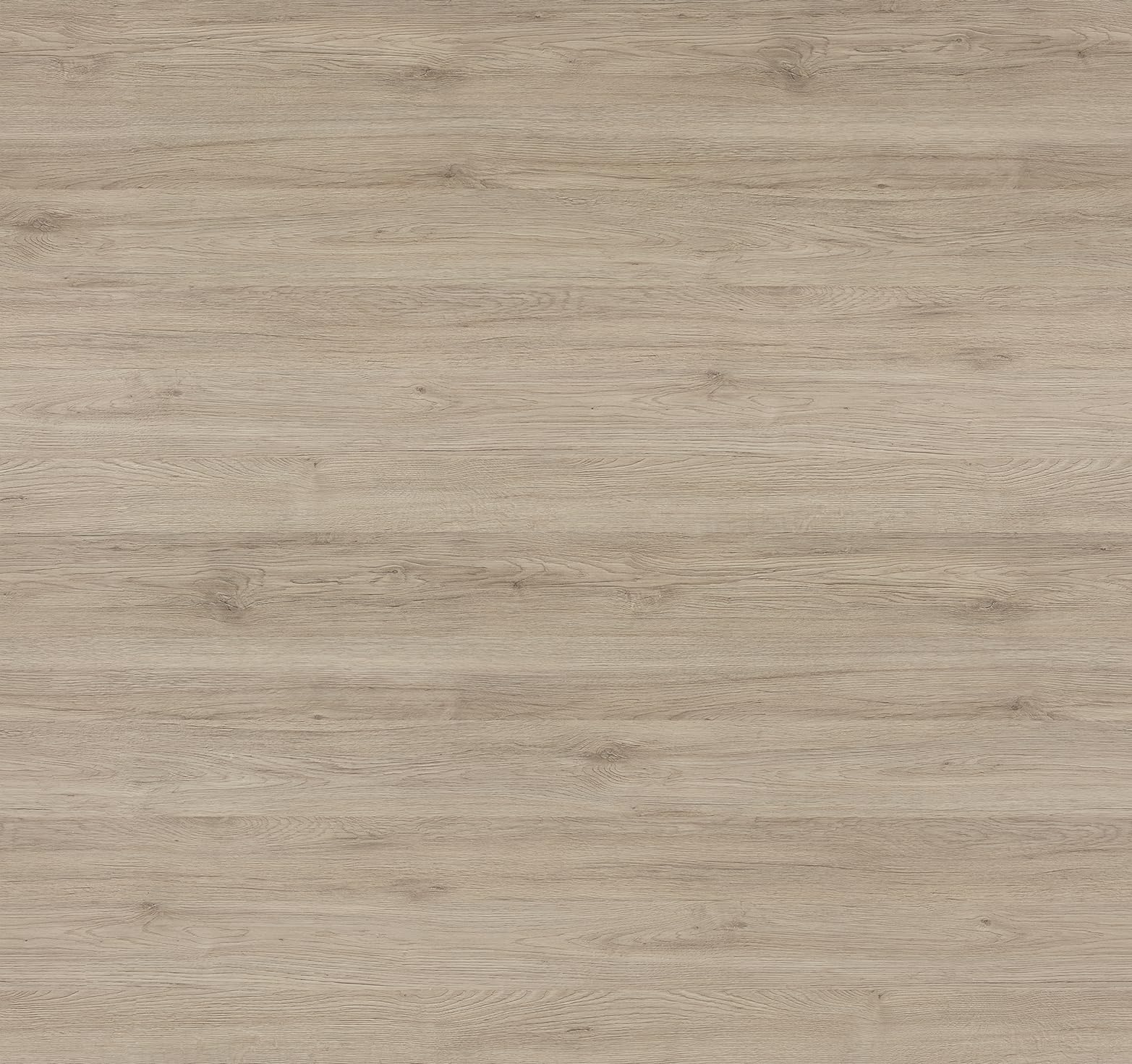 Pelipal Badezimmer Hängeschrank Quickset 313 in Sanremo Eiche Terra quer Nachbildung, 60 cm breit | Bad Wandschrank mit 2 Türen und 2 Einlegeböden