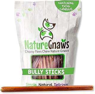Nature Gnaws Large Bully Sticks for Dogs 11-12" (10 Count) - Thick Long Lasting for Aggressive Chewers and Large Dogs - Natural Beef Dog Chew Bones