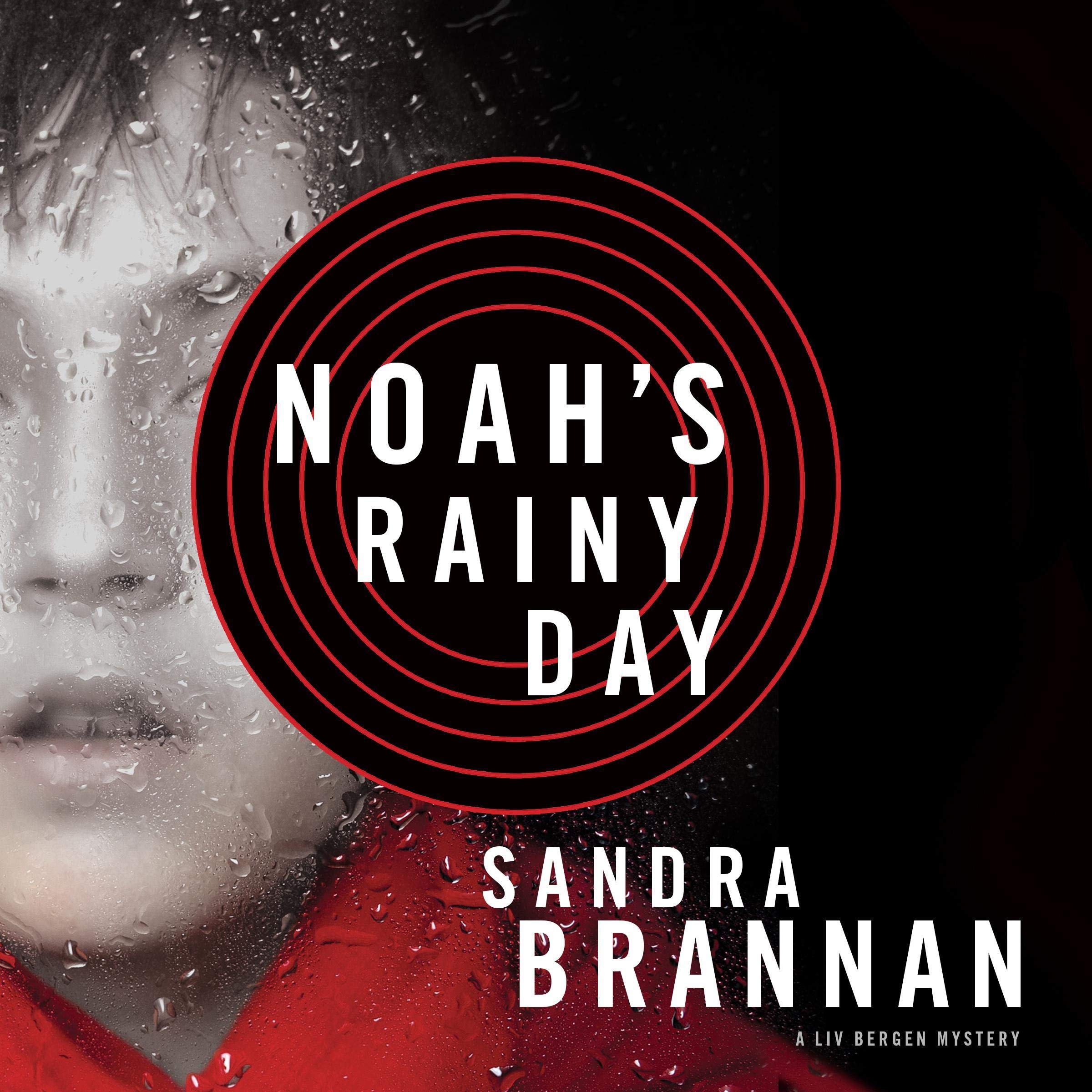 Noah's Rainy Day