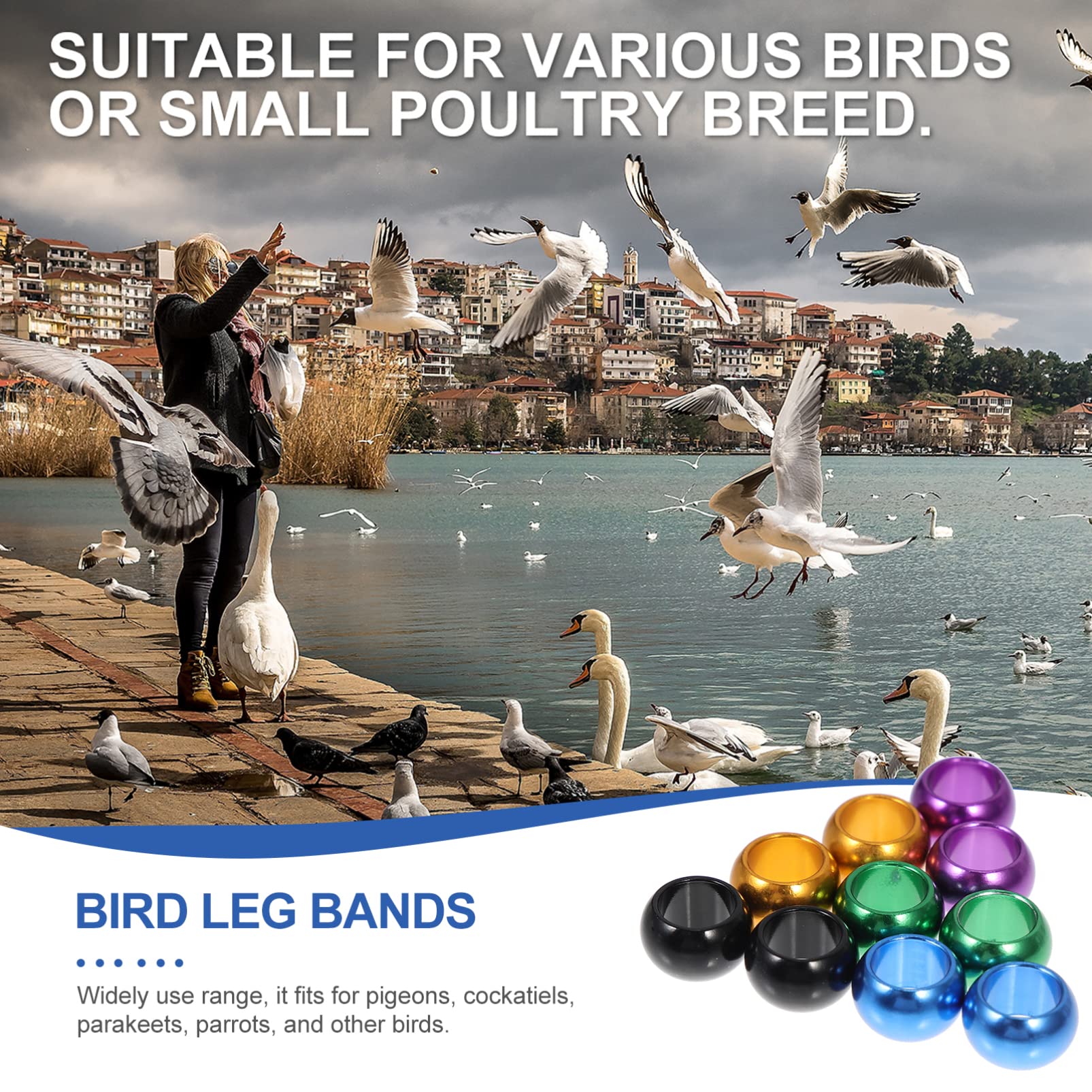 ULTECHNOVO 50piezas Anillos De De Pájaro De Aluminio para Identificación De Palomas Accesorios para Aves Anillos De Pies para Palomas Mensajeras