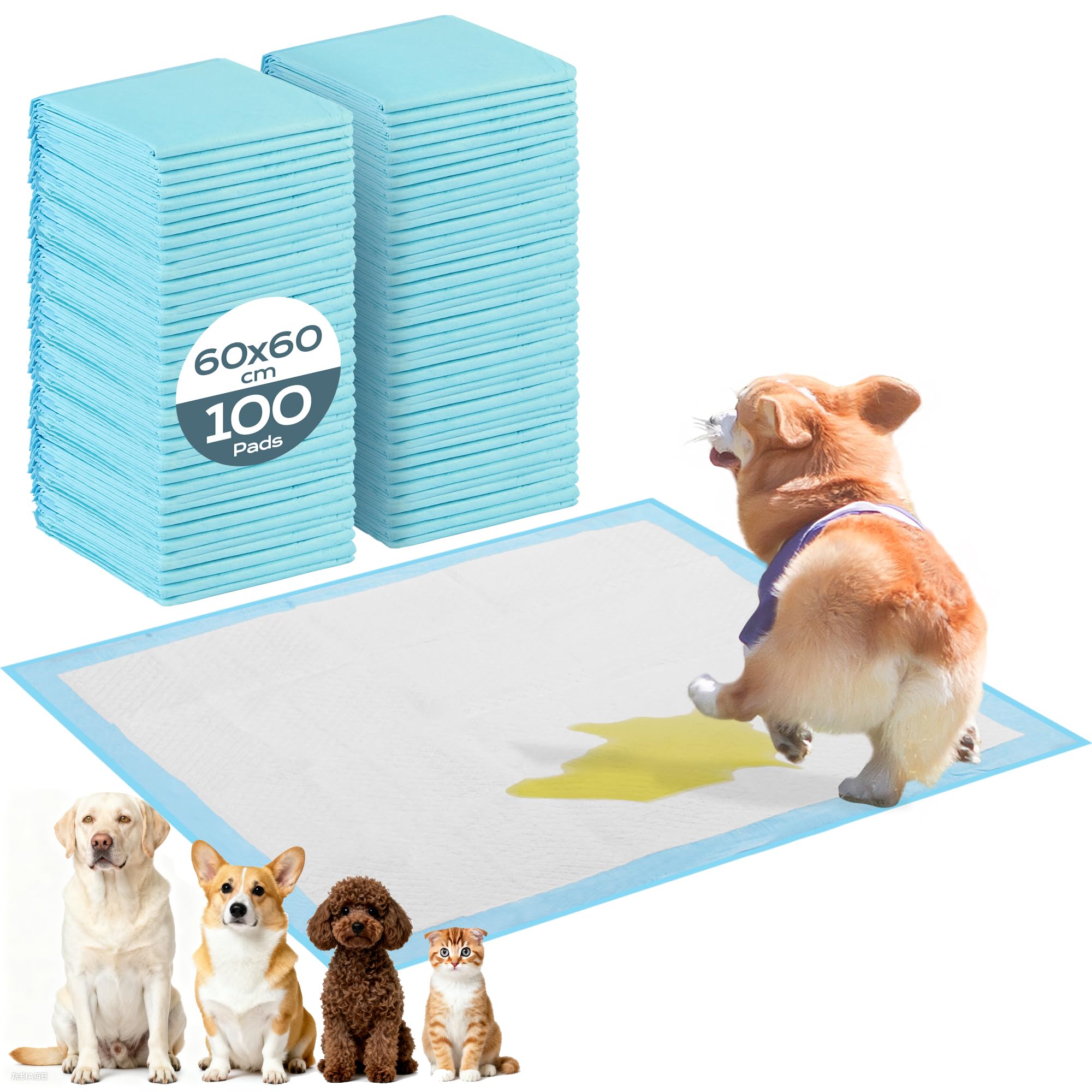 PIPI Matten für Hunde, 100 Stück Trainingspads, Wickelunterlagen Einweg 60X60cm, Einmalunterlagen, Auslaufsicheres 6-Lagiges Design,Welpen Unterlagen Für Welpen,Seniorenhunde,Lnkontinenzpflege