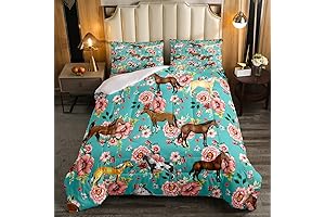 Kids Horse Bedding Set: Galloping Grace for Restful Nights