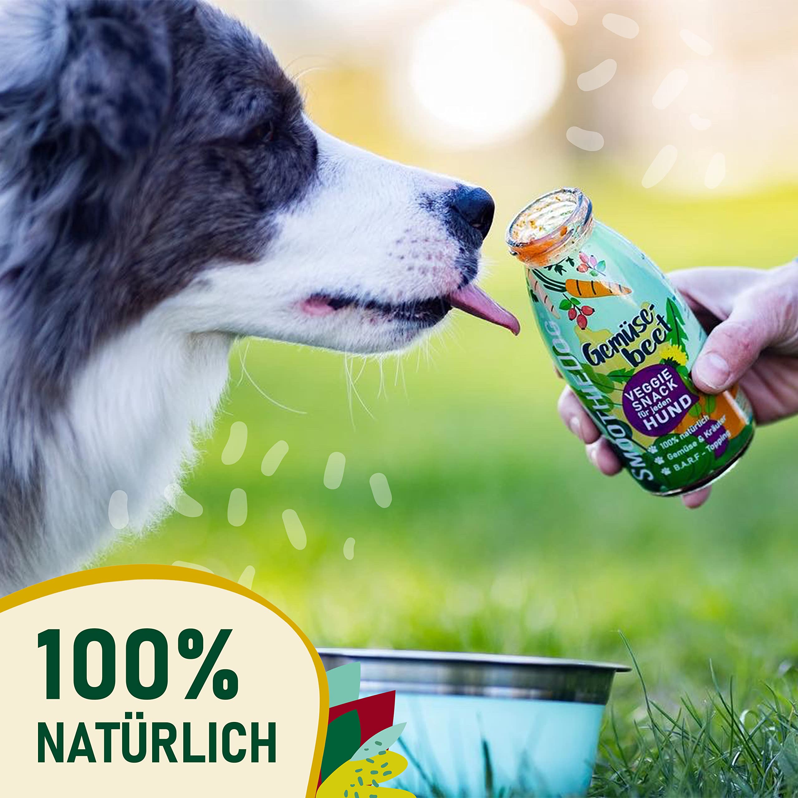 Hunde Smoothie SmoothieDog 6er Mix - je 1x: Huhn, Rind, Lamm, Trinkpause (Ente), Immunio (Rind), Gemüsebeet (vegetarisch) - Flüssiges Hundeleckerli - Zucker- & glutenfrei - je 250ml