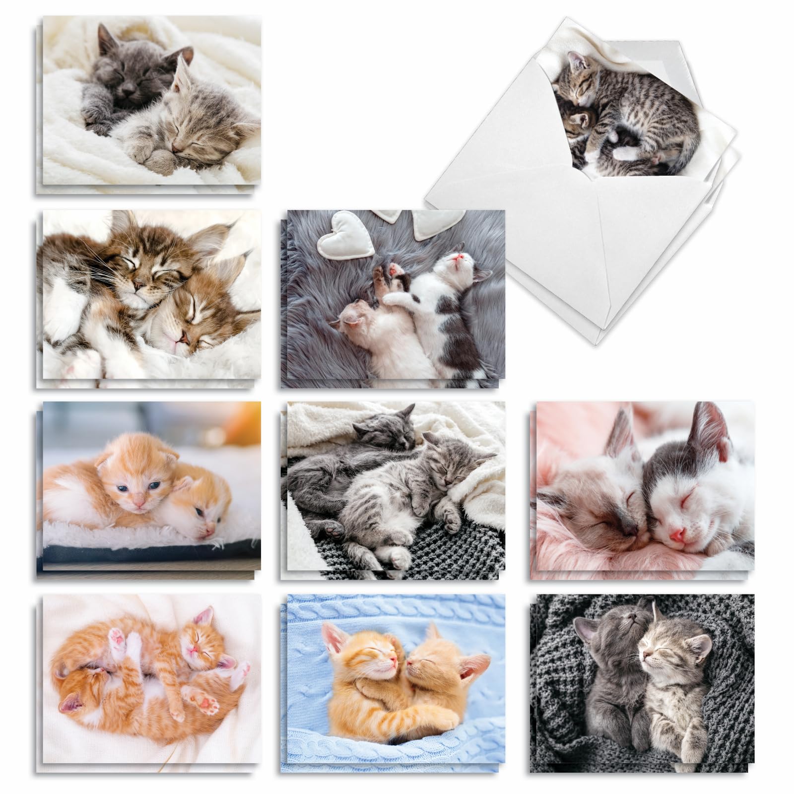 The Best Card Company - 20 uroczych kartek okolicznościowych z kotem (10 x 13 cm) - pusty asortyment (10 wzorów, po 2 sztuki) - przytulanie kotów AM2815OCB-B2x10