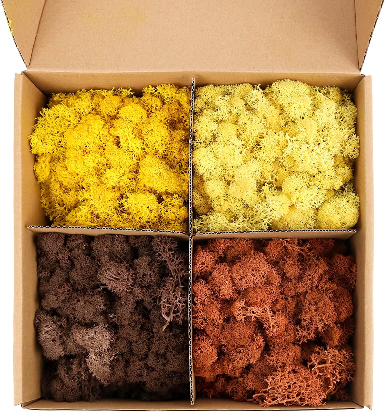 Amoueterno Preserved Moss 4 Color Reindeer Moss, Total 14OZ Each Color 3.5OZ, Colored Moss for Moss Crafts, Moss Wall, Home Office Artistic Decoration Yellow/Light Yellow/Brown/Orange Brown