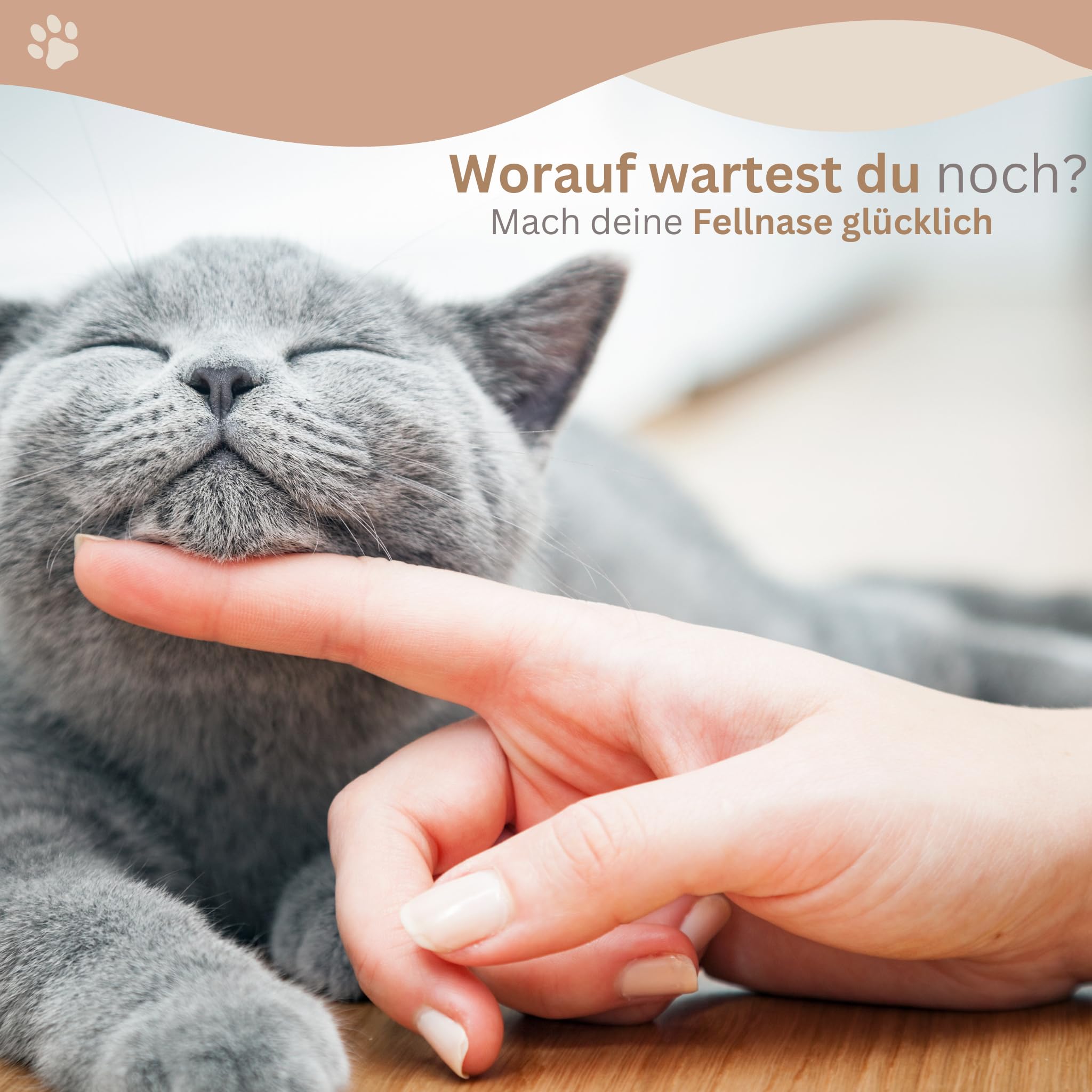 AZANO®️ Katzentreppe 3er Set | Kletterwand Katzen | Katzenleiter Wand [Modernes Design aus Metall] | Katzentreppe Wand | Katzenleiter | Katzenmöbel zum Klettern | S 16x12cm | (Weiß - Kork)