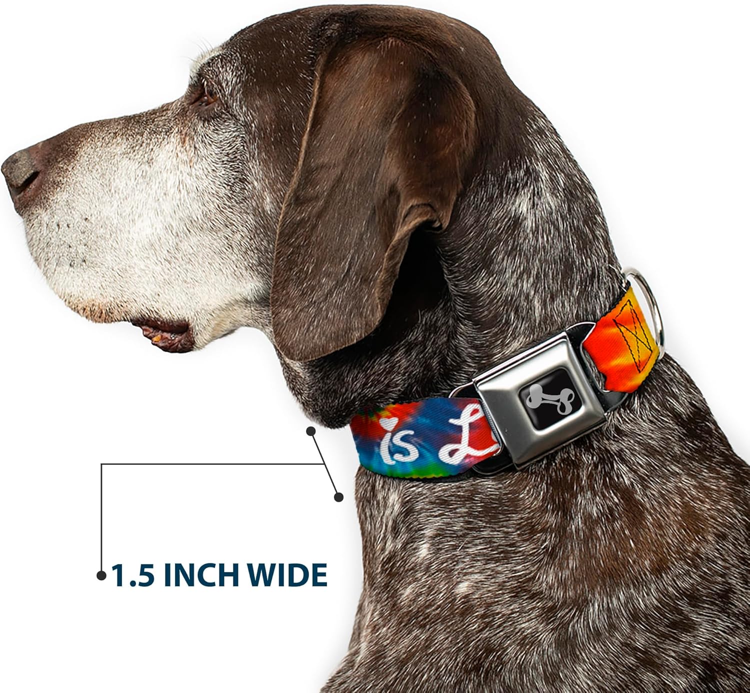 Dog Collar Seatbelt Buckle Love is Love Bd Tie Dye White 11 to 17 Inches 1.0 Inch Wide