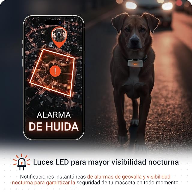 Foto 7 de 8 de PAJ Localizador GPS Perros 4G - Incl. 3 Meses de Suscripción Premium, Gris