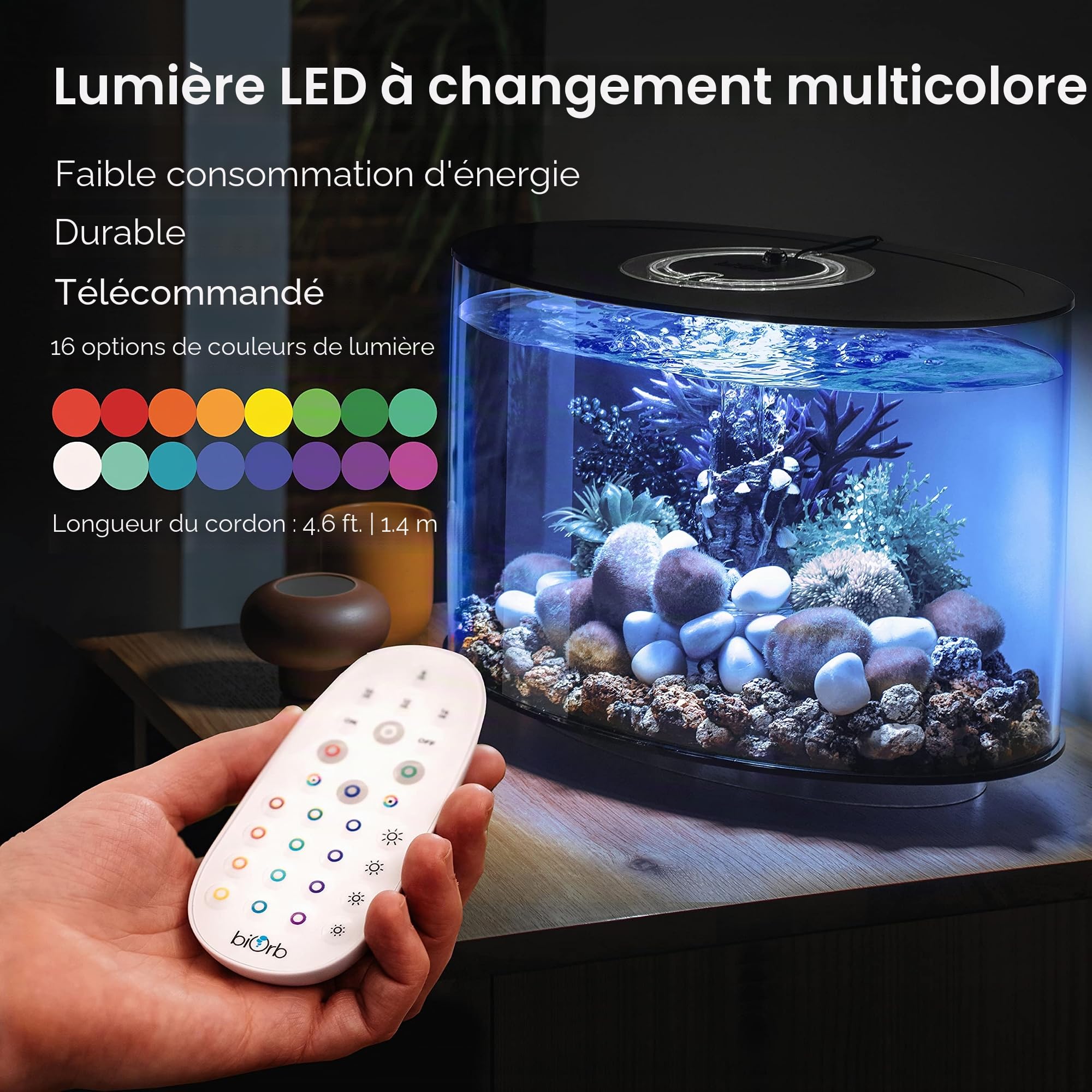 Loop 15 Aquarium avec lumière LED Multicolore – Télécommande