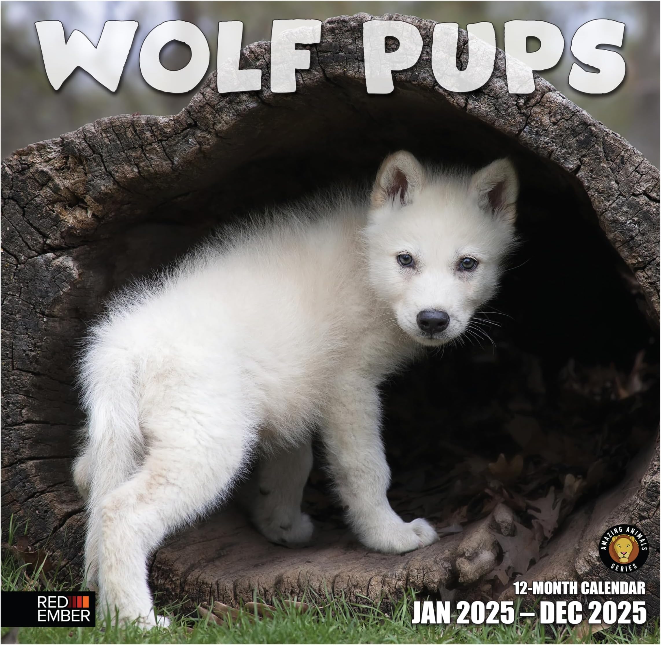 2022 Wolves 16 Month Wall Calendar By Day Spring 12" X 24" Open