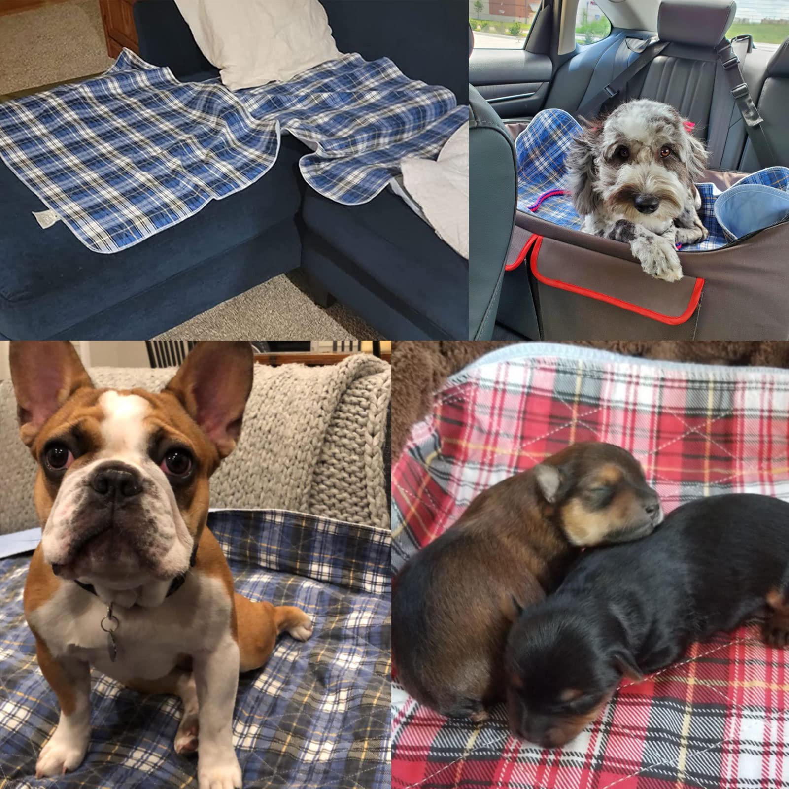 KOOLTAIL Almohadillas lavables para orina para perros, impermeables y antideslizantes, almohadillas de entrenamiento para cachorros, almohadillas reutilizables, alfombrilla de alimentación de comida