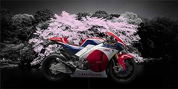 Honda RC213V-S |本 | 通販 | Amazon