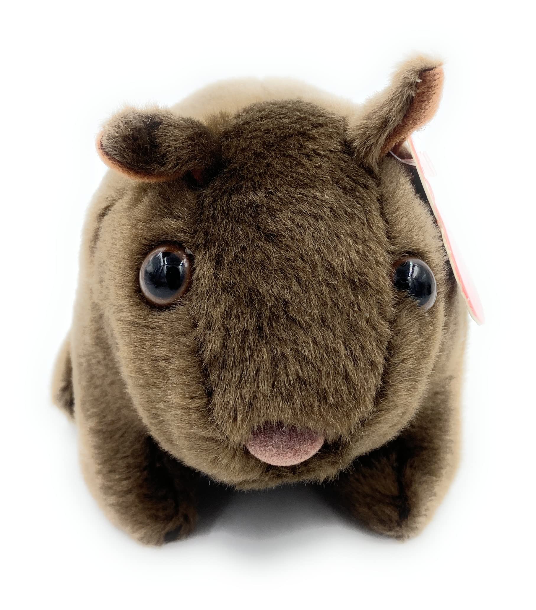 Amazon.co.jp: Aeisage ウォンバット ぬいぐるみ 4.5インチ