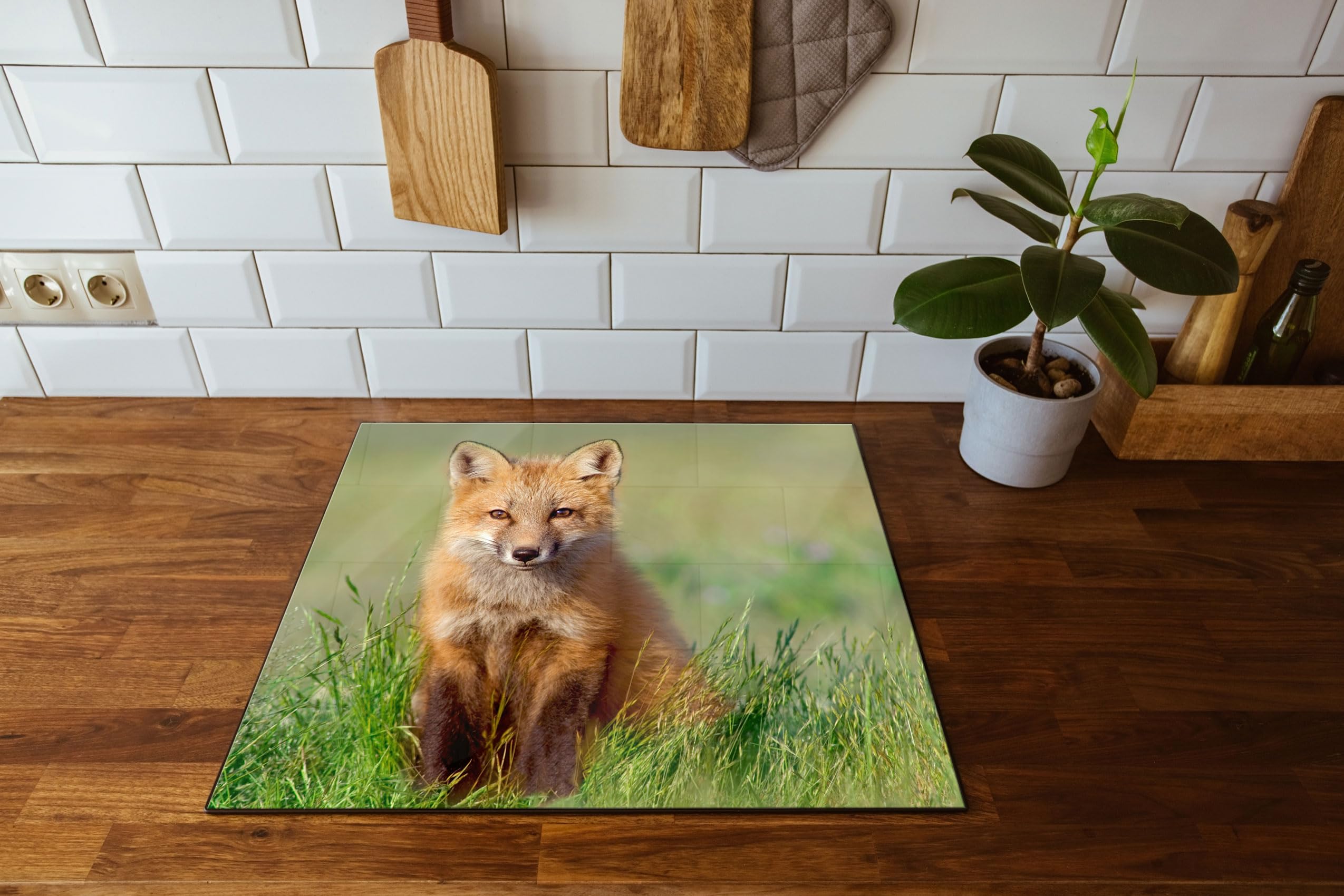 Kleiner Fuchs Herdabdeckplatte & Spritzschutz aus Echtglas | Für Herd-Kochfelder | 60x52 cm