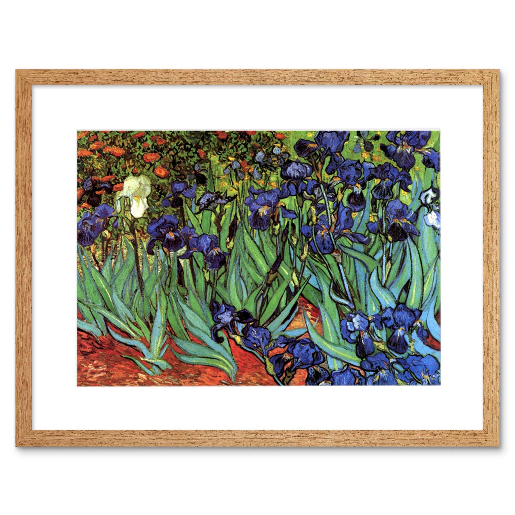 Wee Blue Coo Van Gogh Irises Artwork Framed Wall Art Print 12X16 Inch