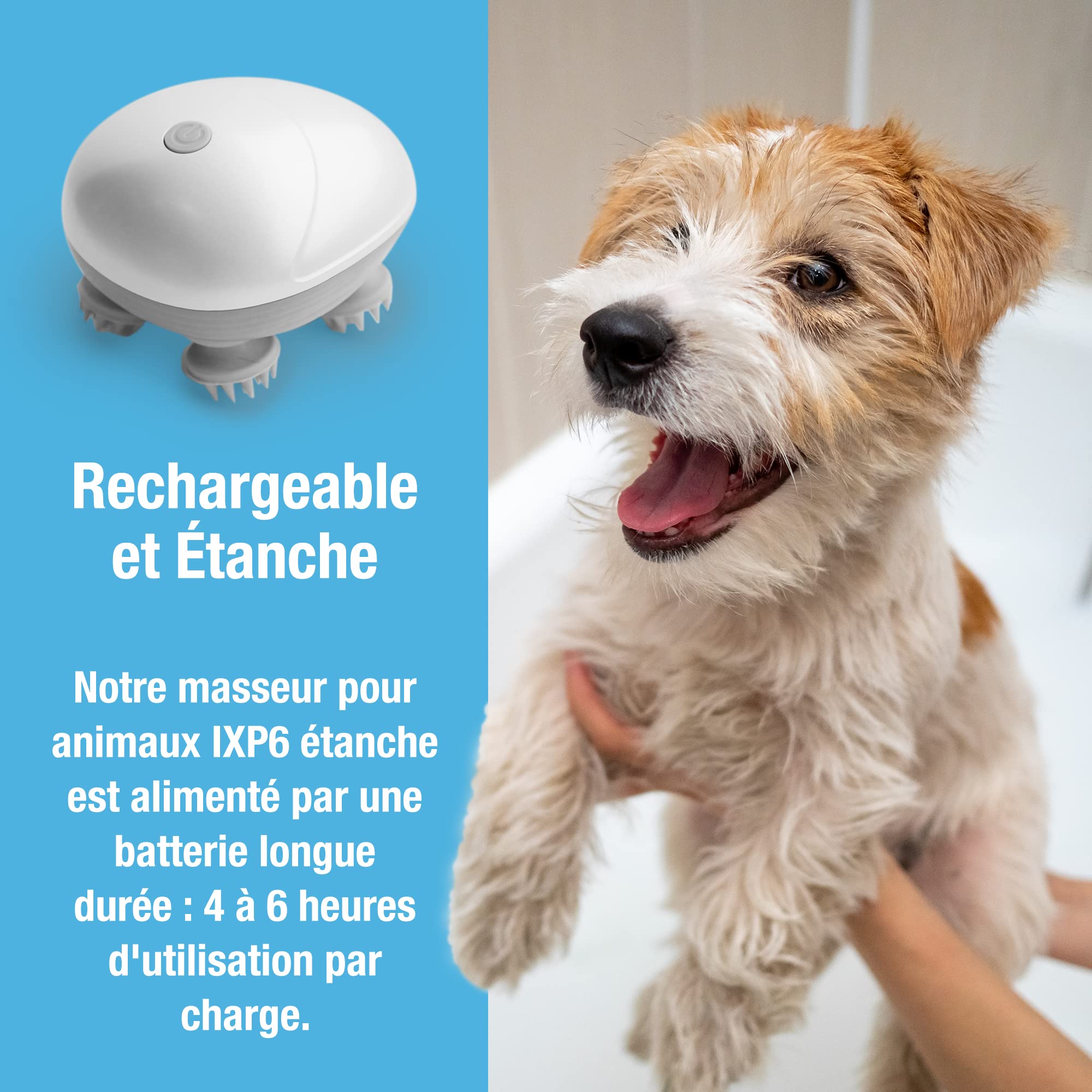 Appareil de massage portatif pour chiens et chats de Tilcare - Outil de massage électrique - Gratte-tête et gratte-dos pour réduire les tensions, les muscles tendus et les raideurs